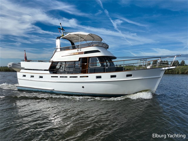 Tayana Trawler  - Pieter Beeldsnijder